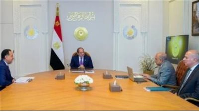 السيسي يجتمع بمدبولي ووزير الكهرباء لضمان استقرار الشبكة القومية وتطوير مزيج الطاقة