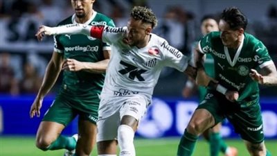 653 مليون دولار حقوق البث التلفزيوني للدوري البرازيلي