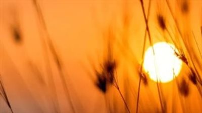 أسرار الفجر الصادق والكاذب: كيف يحدد العلماء موعد الشروق بدقة متناهية؟