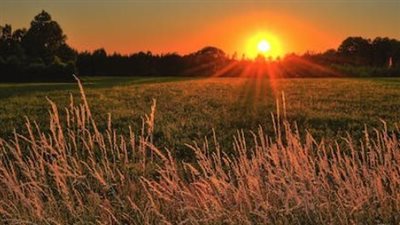 صلاة الفجر قبل الشروق بـ 10 دقائق: هل تقبل الصلاة وما هو الحكم الشرعي؟