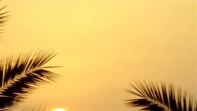 وقت الشروق اليوم: متى يبدأ الانتهاء الشرعي لوقت الفريضة والدخول في وقت النهي؟