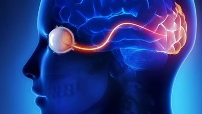 عقلنا لا ينام.. كيف يعالج الدماغ البشري أعقد المعضلات وأنت في عالم الأحلام؟