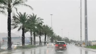 زعبيب أمشير: هل صدقت الأمثال الشعبية عن شهر أمشير في فبراير 2026؟ إليكم التاريخ والطقس