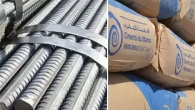 الأسمنت المصري في صدارة الأسواق الأفريقية.. جودة تنافسية تدعم العملة الصعبة