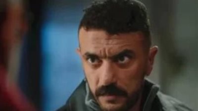 من النمر الأسود إلى علي كلاي.. رحلة القفازات التي هزت وجدان الجمهور المصري عبر الأجيال