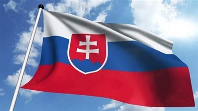 المعارضة السلوفاكية تقاضي فيكو بسبب وقف إمدادات الكهرباء إلى أوكرانيا