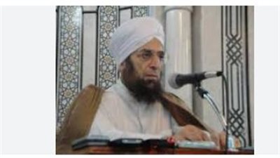 من هو محمد حسن هيتو؟.. السيرة الذاتية الكاملة لشيخ الأصوليين السوري الأزهري