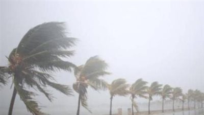 برودة ليلية وشبورة صباحية.. حالة الطقس في مصر اليوم الأربعاء 25 فبراير