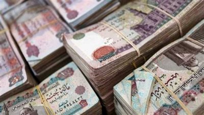 التضامن الاجتماعي تعلن جاهزية منافذ الصرف لاستقبال أصحاب المعاشات ومستفيدي تكافل وكرامة