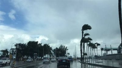 طقس شديد البرودة ليلًا.. توقعات الأرصاد الجوية للأسبوع الأول من شهر مارس 2026