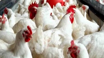 الارتفاع يطال 