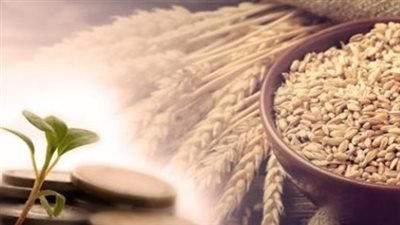 لماذا تم تحديد 35 جنيهًا لزكاة الفطر هذا العام؟ دار الإفتاء توضح السبب