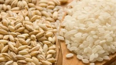 أحكام زكاة الفطر 2026: هل يجوز إخراجها نقدًا وما هو مقدارها من القمح؟