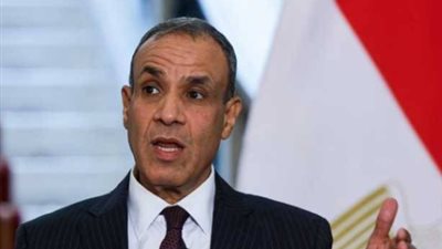 عبد العاطي: استقرار النقد الأجنبي وتراجع التضخم يعكسان جدية مسار الإصلاح الشامل