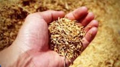 دليل المسلم في منتصف رمضان.. أحكام زكاة الفطر وموعد صلاة القيام