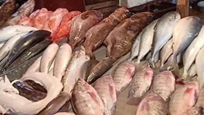 قائمة أسعار المأكولات البحرية اليوم الأربعاء 4 مارس 2026 (تحديث لحظي)