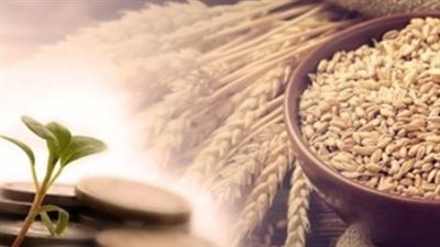 دليل المسلم الشامل لزكاة الفطر 2026.. الفئات المستحقة وأحكام إخراج القيمة