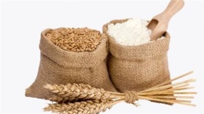 لماذا أجازت دار الإفتاء إخراج زكاة الفطر نقدًا في 2026؟.. الأسباب والمستند الشرعي