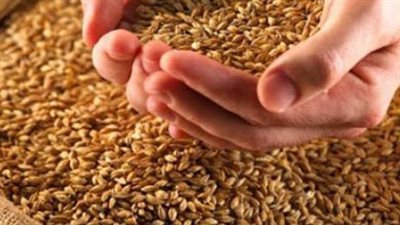 من الفقراء إلى الغارمين.. تعرف على المصارف الثمانية لزكاة الفطر لعام 1447 هجريًا