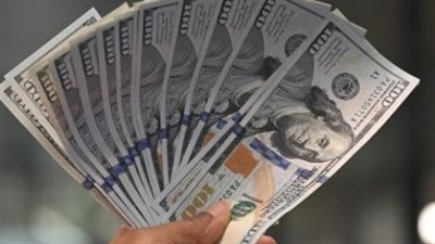 البنك المركزي المصري: المؤشر الرسمي لسوق الصرف