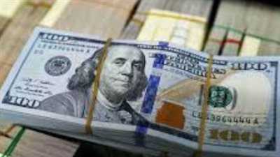 الدولار في مصرف أبوظبي الإسلامي والبنك المركزي.. تباين الأسعار بين البنوك الحكومية والخاصة