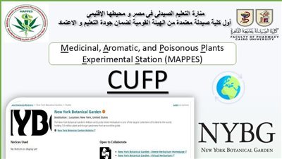 ماذا يعني تسجيل CUFP دوليًا؟ أهمية الخطوة في تعزيز تصنيف جامعة القاهرة البحثي