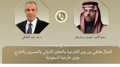 مصر تدين الاعتداءات على سيادة الدول الشقيقة وتتمسك بمبدأ حسن الجوار في المنطقة