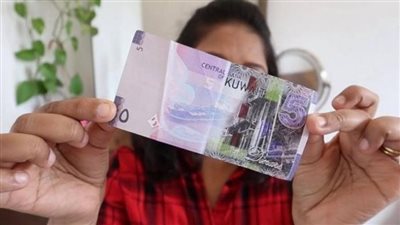 أسعار الصرف في البنوك الحكومية والخاصة: قراءة تفصيلية في بيانات الشراء والبيع