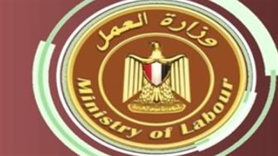 من المدير وحتى العامل.. قائمة الوظائف المطلوبة في أحدث نشرة توظيف حكومية 2026