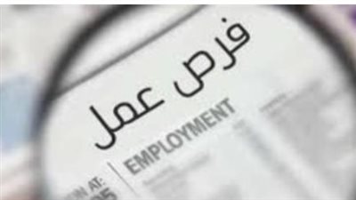 الحد الأدنى للأجور ومزايا إضافية.. تفاصيل رواتب وظائف وزارة العمل في السلاسل التجارية