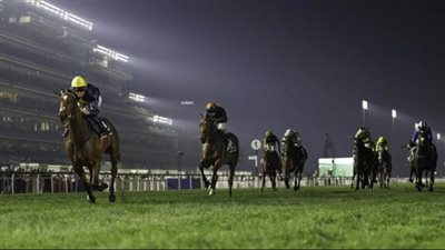 112 خيلًا تتنافس في ختام كرنفال سباقات دبي بمضمار ميدان