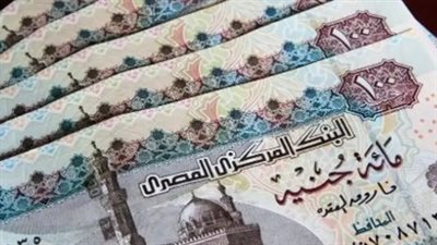 كيفية التعرف على الأسماء المقبولة والتحقق من الاستمرار في البرنامج