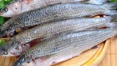 مخاطر الفسيخ والرنجة في العيد.. كيف تتجنب التسمم الوشيقي والأزمات القلبية؟