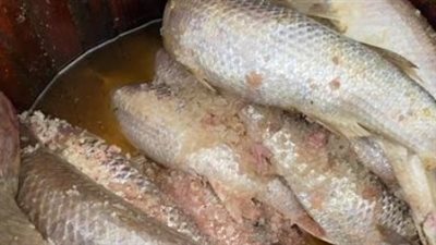 الفئات الممنوعة طبيًا من تناول الفسيخ والأسماك المملحة في العيد 