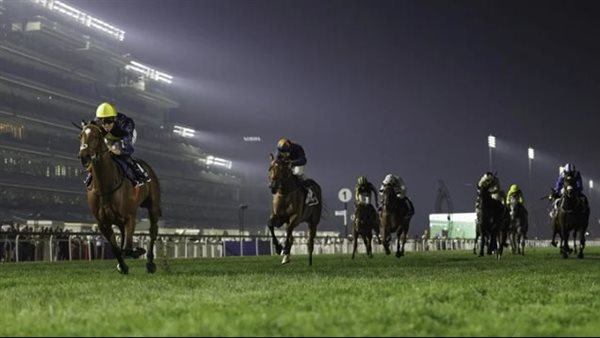 112 خيلًا تتنافس في ختام كرنفال سباقات دبي بمضمار ميدان