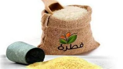 قيمة زكاة الفطر 2026 في مصر.. المفتي يحدد الحد الأدنى ومواعيد الإخراج