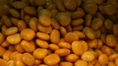 الترمس.. رفيق العائلة والكنز الغذائي في عيد الفطر