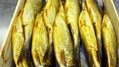 الفسيخ يصل لـ 600 جنيه.. جولة في أسعار الأسماك المملحة بمختلف المحافظات اليوم
