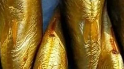 دليل المشتري الذكي.. كيف تفرق بين الرنجة والفسيخ السليم والفاسد قبل الشراء؟