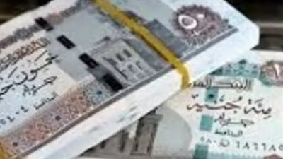 خطوات الاستعلام عن المعاش بالرقم القومي عبر المنصة الرقمية