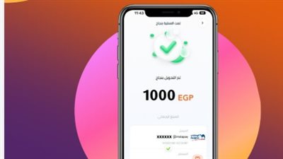 الشمول المالي الرقمي: مميزات وضوابط استخدام تطبيق إنستا باي في المنظومة المصرفية