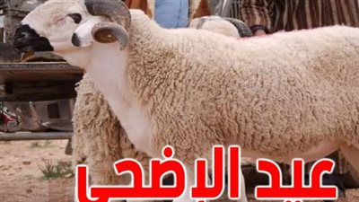 الدليل الكامل لموعد عيد الأضحى 2026 وعدد أيام الإجازة المتوقعة للموظفين