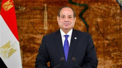 الرئاسة المصرية: موقفنا ثابت في رفض المساس بسيادة الدول العربية تحت أي ذريعة