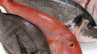 نصائح ذهبية من وزارة الصحة للوقاية من مخاطر تناول الأسماك غير الصالحة