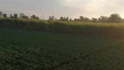 دليل المسافر والمواطن: كيف تضمن معرفة حالة الطقس قبل الخروج من المنزل؟