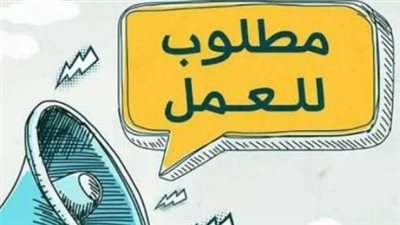 مستقبلك في الحكومة.. تحديث يومي لأبرز الوظائف المتاحة عبر بوابة الوظائف الحكومية