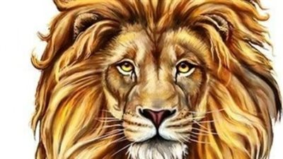 الصحة في برج الأسد: خيارات حاسمة بين الحمية الغذائية والرشاقة الدائمة