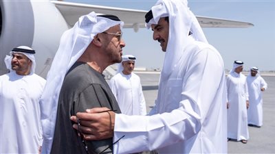 أمير قطر يبحث مع رئيس الإمارات الأوضاع فى المنطقة
