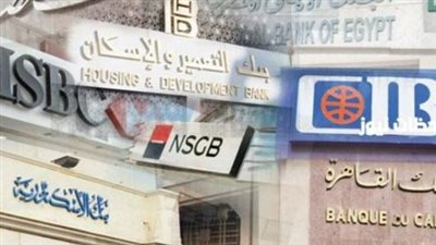 البنك المركزي المصري أمام اختبار صعب.. كيف تتأثر شهادات الادخار بقرار الفائدة؟