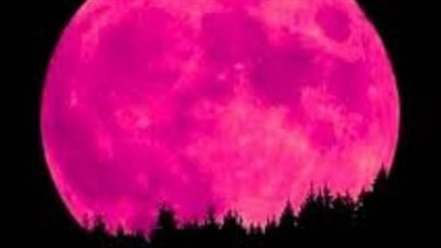 موعد ذروة القمر الوردي 2026 وأفضل الأماكن لمشاهدة لمعانه الذهبي في سماء الأرض